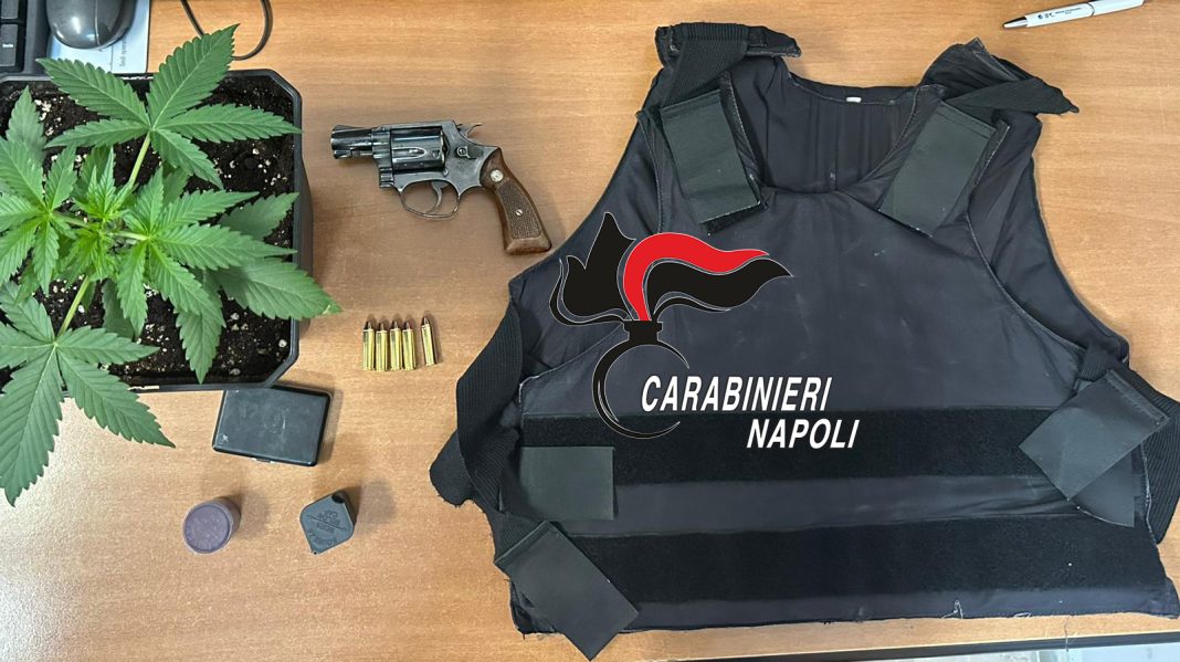 Fermato a San Vitaliano con pistola e giubbotto antiproiettile: nel box di casa una pianta di cannabis