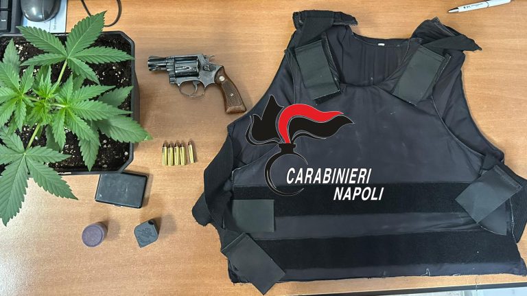 Fermato a San Vitaliano con pistola e giubbotto antiproiettile: nel box di casa una pianta di cannabis