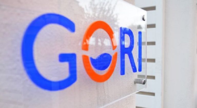 Gori, pubblicato il bilancio di sostenibilità 2023: le radici dell’impegno costante