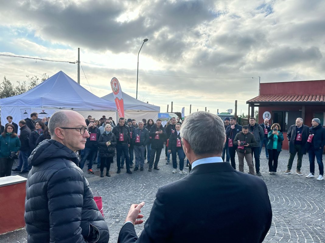 Piantumazione di alberi nel Parco Nazionale del Vesuvio