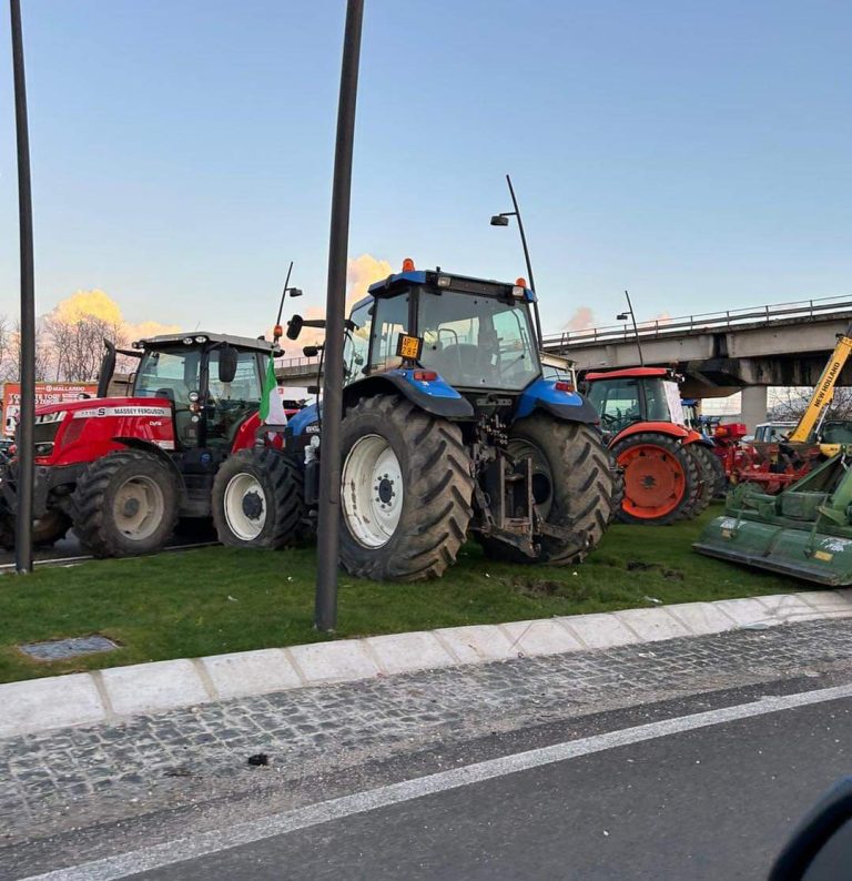 Gli allevatori acerrani oggi in marcia su Napoli