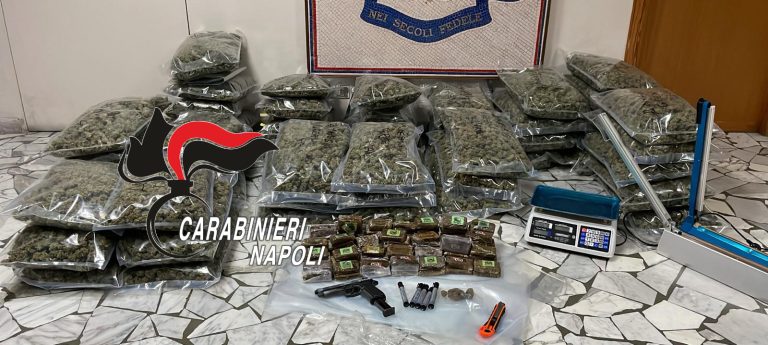 Padre e figlio fermati con 60 chili di droga nel frigorifero di casa
