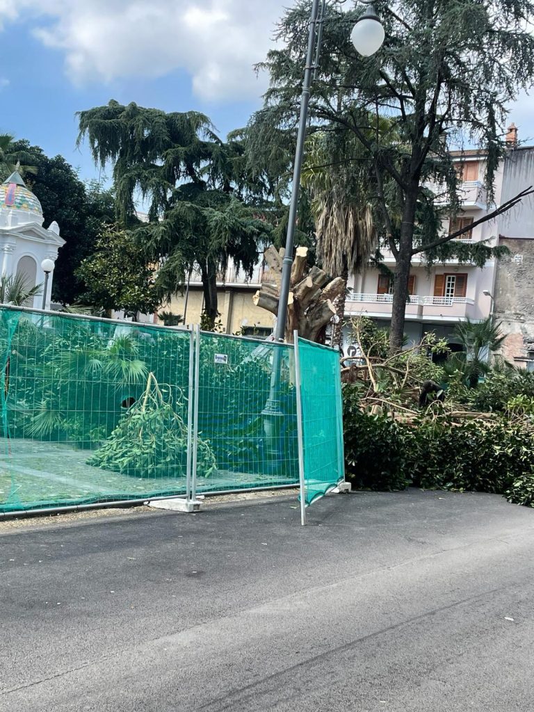 Terzigno, abbattuti gli alberi di piazzetta Borgonuovo