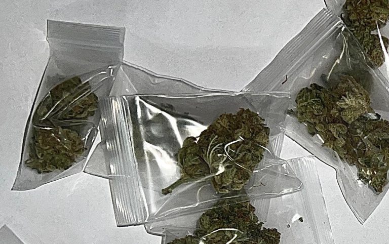 Acerrano 17enne trovato con 24 dosi di droga: era pronto a venderle nella movida napoletana