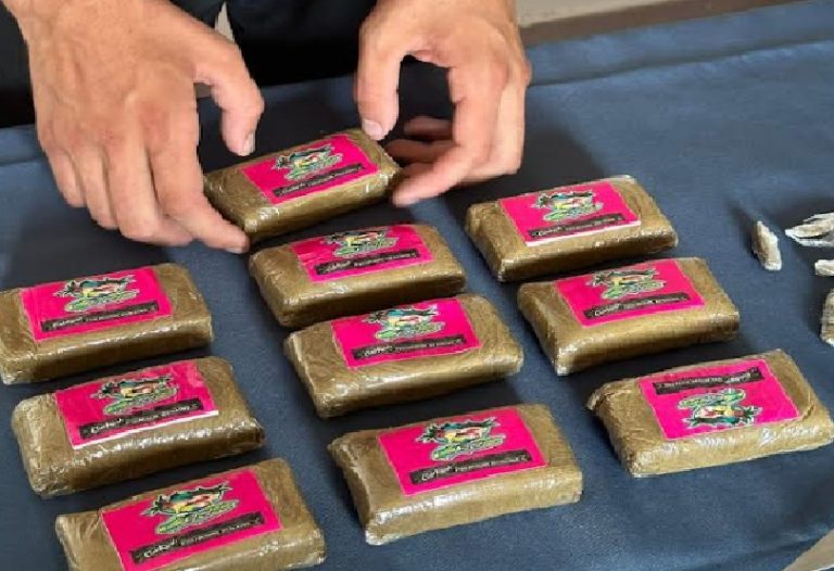 Un chilo di hashish in pescheria, arrestati due fratelli