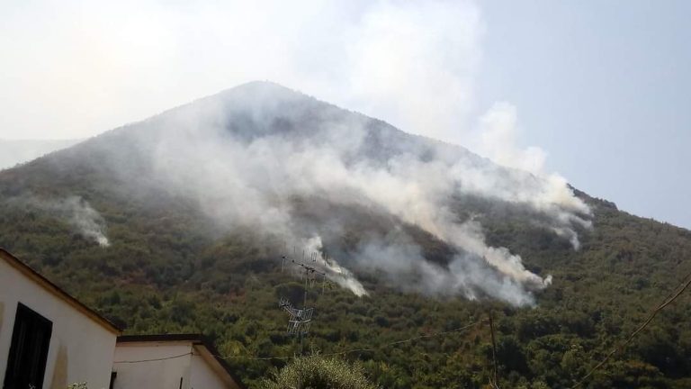 Incendio nel parco del Vesuvio, vertice in Prefettura