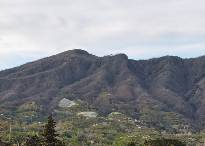 Fitness all’aperto nel Parco del Vesuvio: inaugurato il Percorso Easy