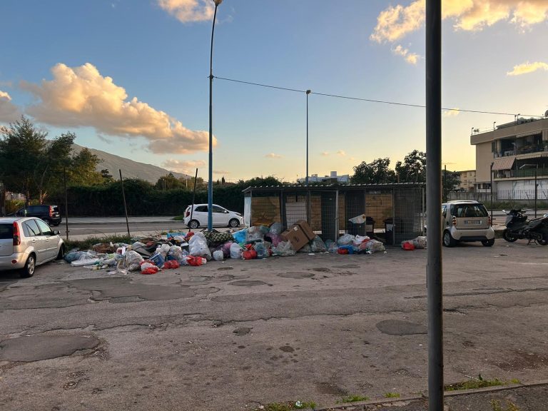 Le telecamere di sicurezza non funzionano: il caso in Consiglio Comunale Le telecamere di sicurezza non funzionano: il caso in Consiglio Comunale