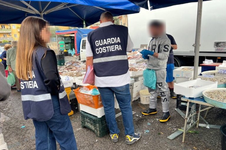 Blitz al mercato di Pomigliano, sequestrati 4 quintali di pesce