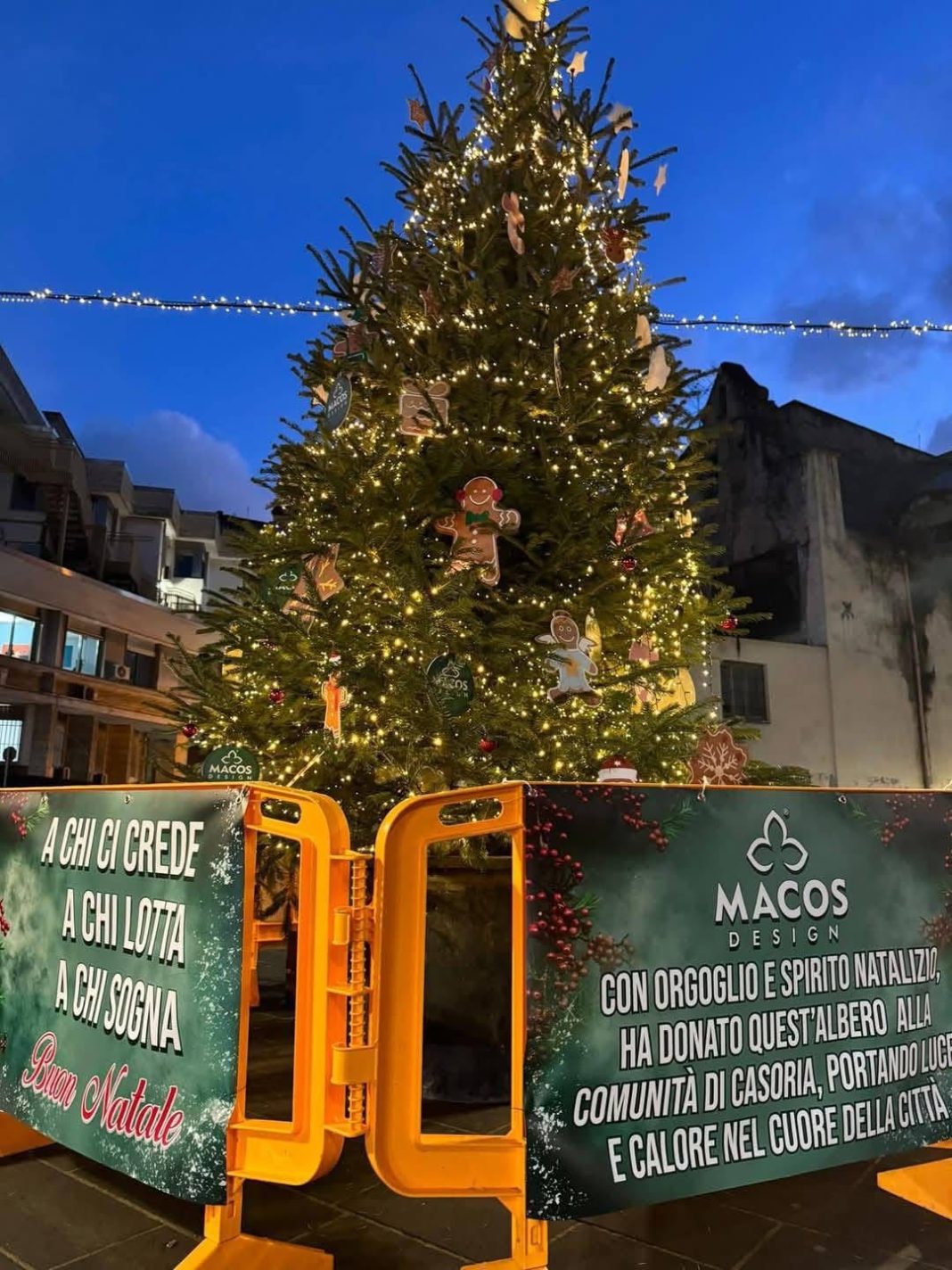 Macos dona un albero a Piazza Cirillo