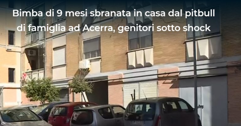 Acerra, padre indagato per omicidio colposo: la morte della figlia di 9 mesi sbranata dal pitbull