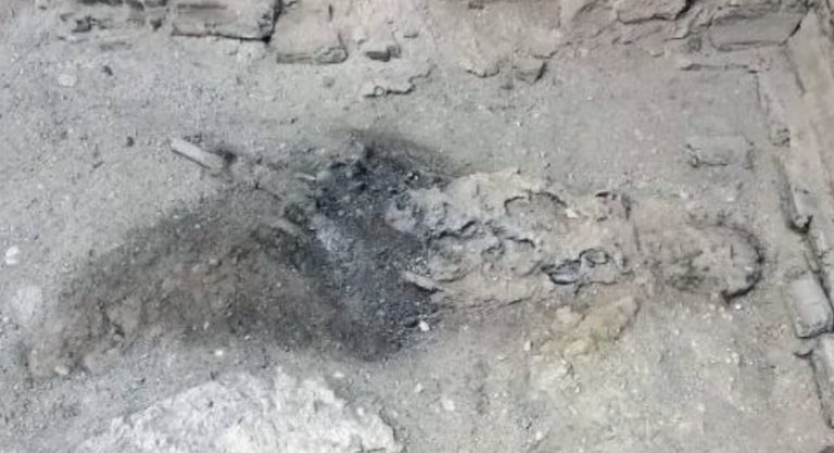 Rara scoperta al Parco Archeologico di Ercolano: ritrovato cervello vetrificato