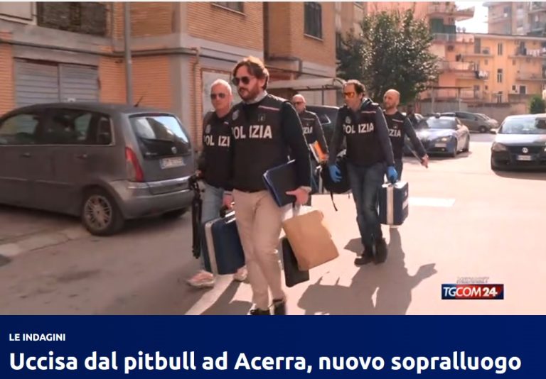 Acerra, trovato il pigiamino insaguinato della piccola Giulia nel sacchetto dei rifiuti