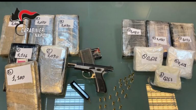 Scacco alla mala vesuviana, decine di arresti