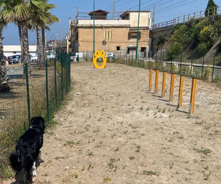 Tutela degli amici a quattro zampe: a Torre del Greco nasce il “cane di quartiere”