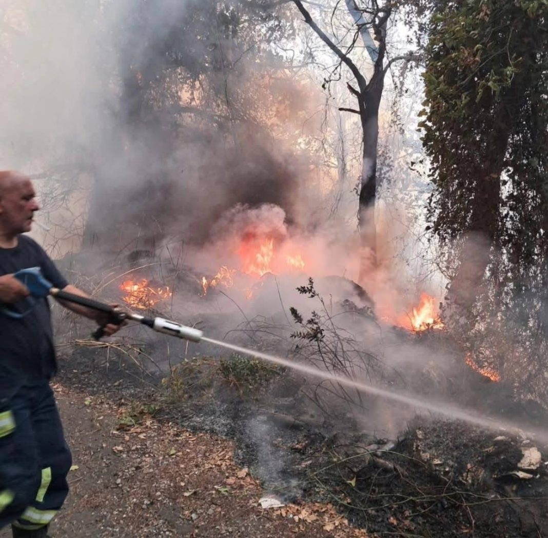 Fiamme a Palma Campania: carenza di mezzi impegnati sul fronte del Vesuvio