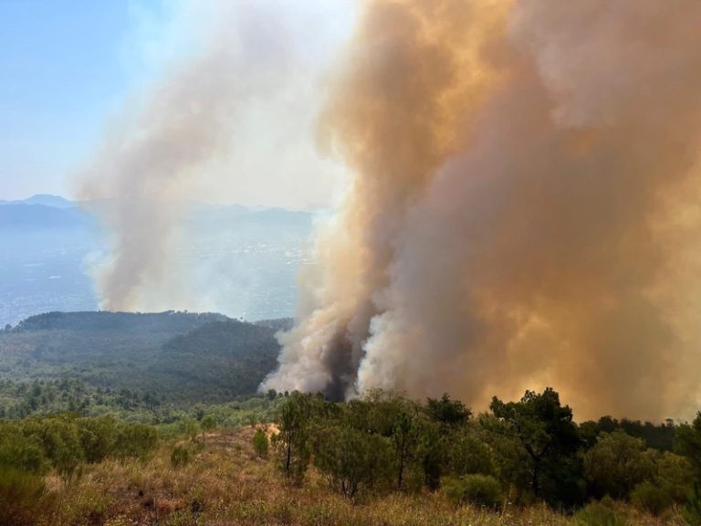 Incendio nel Parco Nazionale del Vesuvio, sospese visite dei turisti