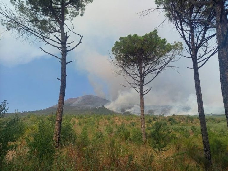 Incendio Parco del Vesuvio diventa caso nazionale, interviene l’Esercito