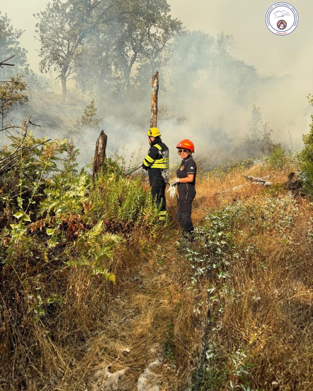 Vesuvio, incendio attivo su 3 fronti ancora: 63 alloggi disposti per gli operatori