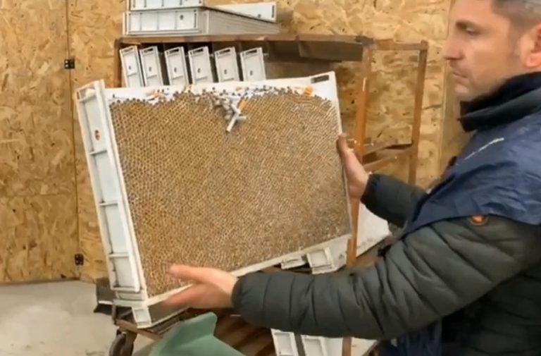 Nola, sgominata rete dedita al contrabbando di tabacco e alla falsificazione di marchi: tre ai domiciliari