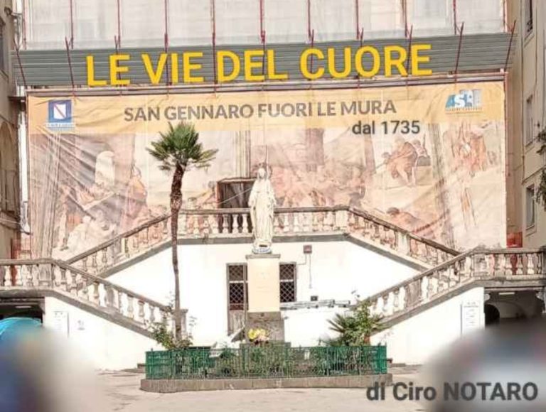 Le vie del cuore, dall’emergenza alla guarigione