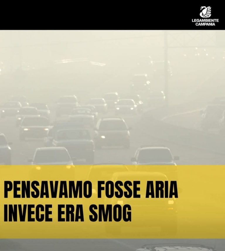 PM10 fuori controllo ad Acerra, Legambiente: “Dallo spazio si vede l’inquinamento. Terzo anno consecutivo maglia nera”