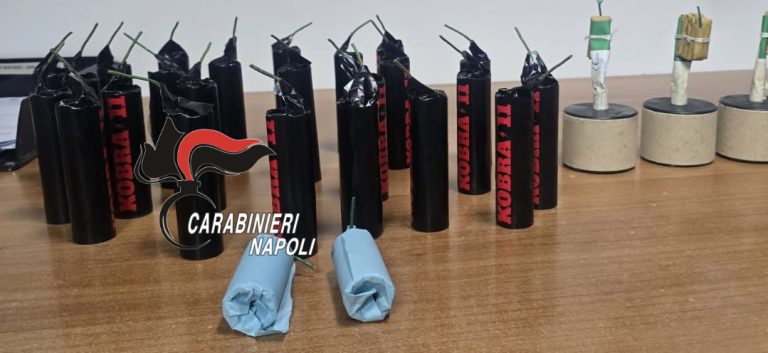 Cercola, cobra tra i bimbi di 2 e 10 anni: arrestati i genitori