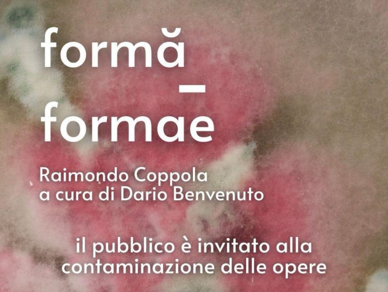 Somma, inaugurazione della mostra “formă – formae” di Raimondo Coppola