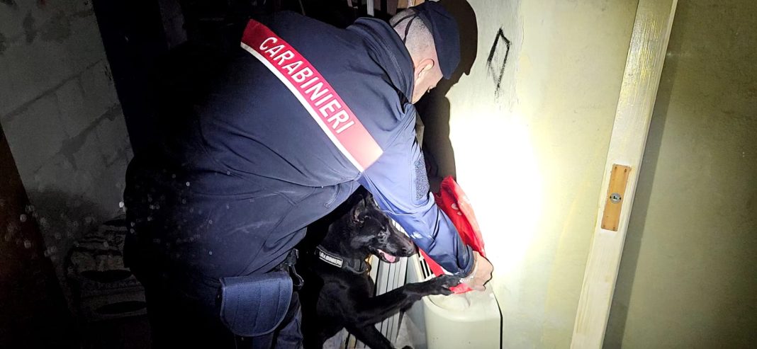 Maxi operazione nei rioni di Somma, Brusciano e Marigliano: trovate droga e armi