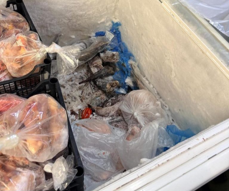 Acerra, chiuso negozio di alimentari: sequestrate tonnellate di prodotti