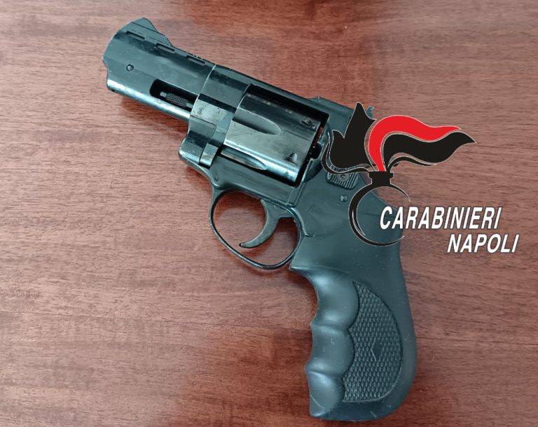Cane dell’Arma fiuta odore strano e trova pistola carica in auto