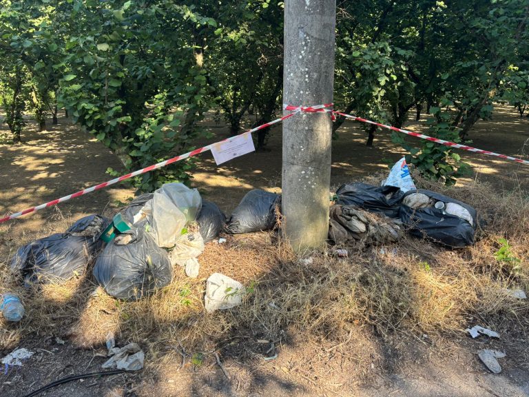 Marigliano, polizia locale scopre discarica abusiva