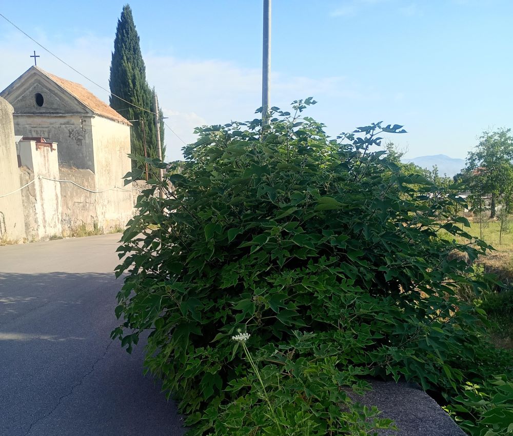 Somma Vesuviana, Decoro urbano e responsabilità amministrativa: la sfida del cambiamento