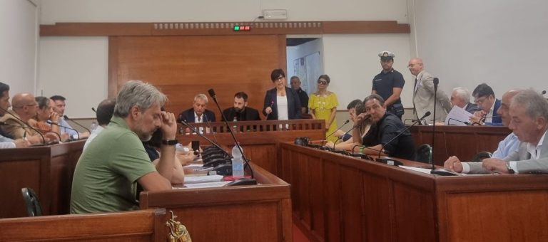 Somma Vesuviana, insediato il primo Consiglio comunale. Svanera: «Sarò garante dei diritti di tutti»