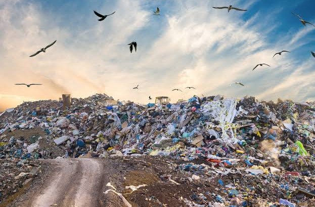 Ecomafia 2026, la Campania ancora prima: l’analisi di Enrico Fontana